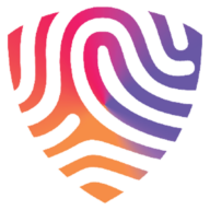 BigID logo