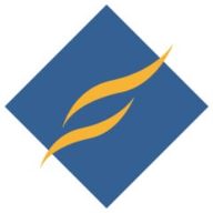Firestorm logo