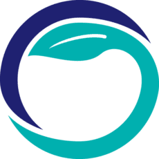 TechnoServe logo