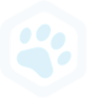 Stealth logo